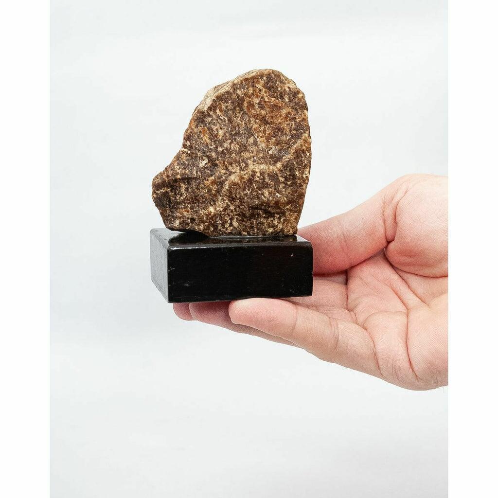 Pedra Aragonita na base de madeira 200 g