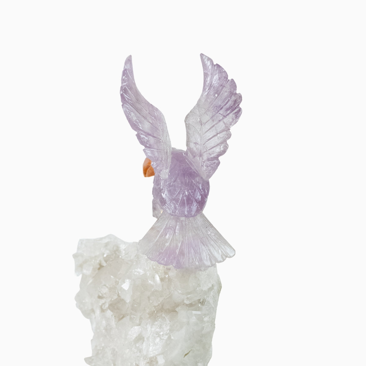 Arara Esculpida em Ametista na Drusa Quartzo Cristal Base Madeira