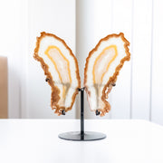 Borboleta Chapa Ágata Dourada Natural Polida na Base Metal 2,650 kg