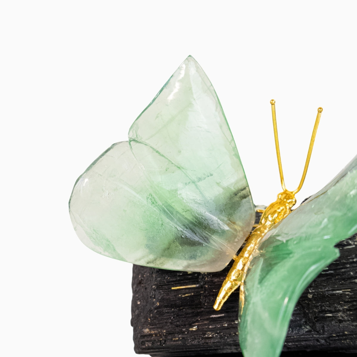Borboleta Esculpida em Fluorita Verde na Base de Turmalina Negra 1,864 kg