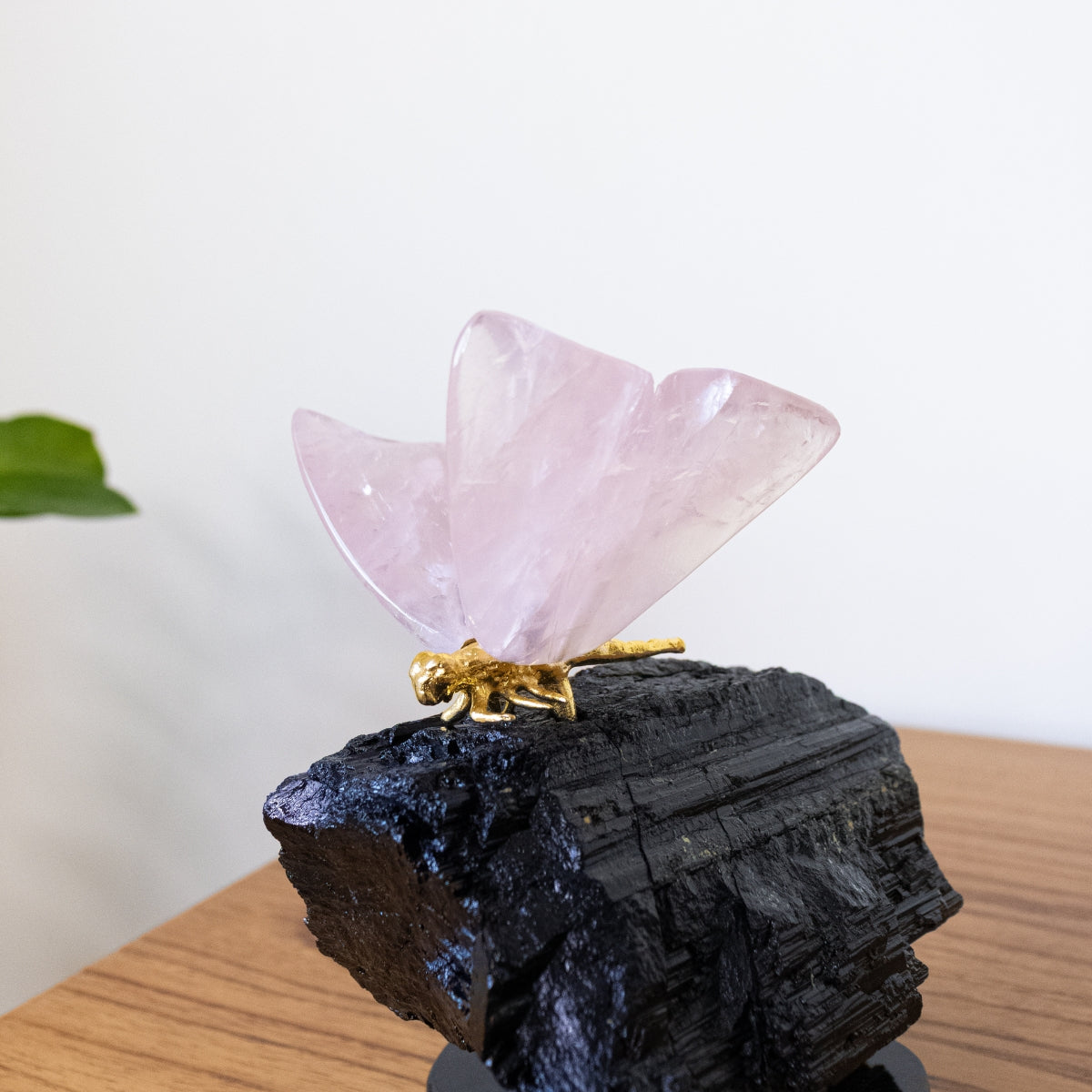 Borboleta Esculpida em Quartzo Rosa na Base de Turmalina Negra 1,610 kg