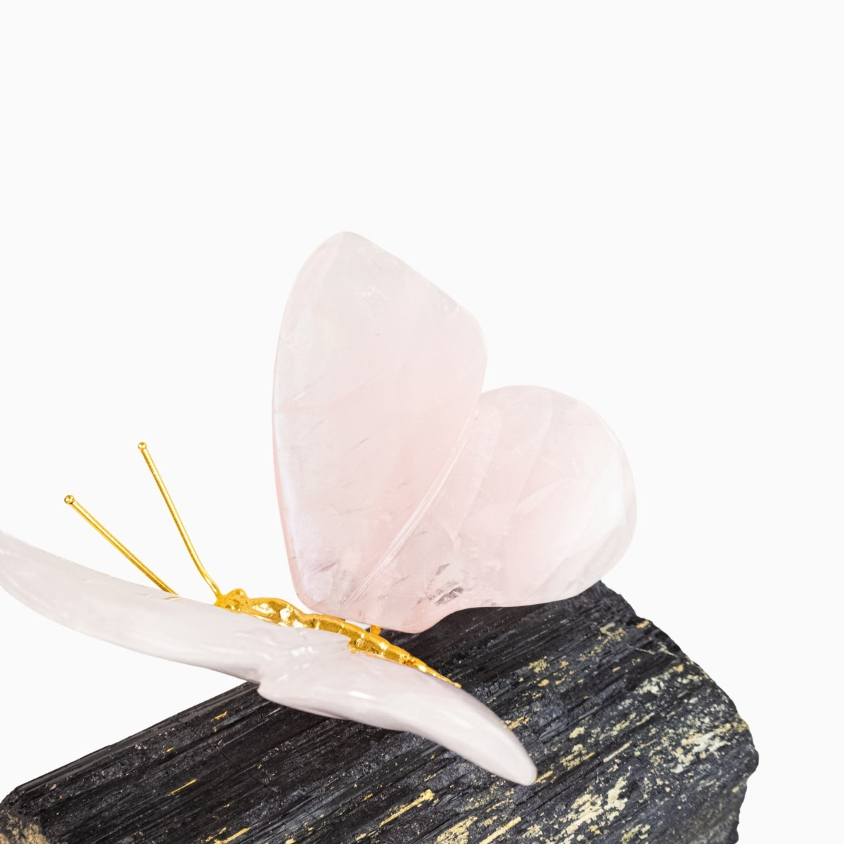 Borboleta Esculpida em Quartzo Rosa na Base de Turmalina Negra 1,923 kg