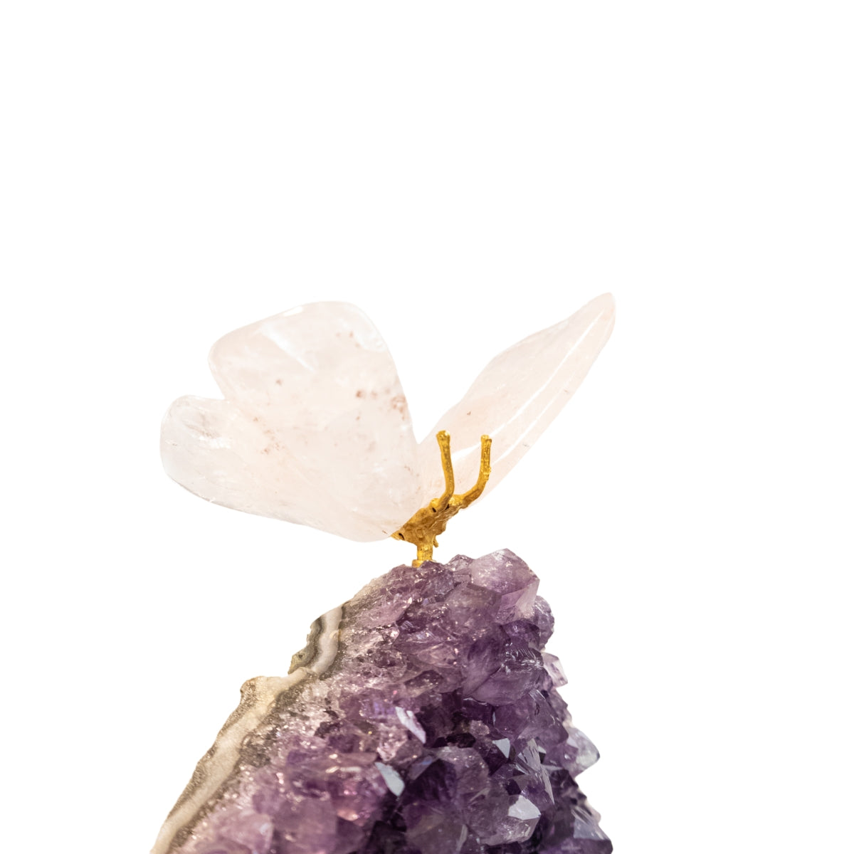 Borboleta Esculpida em Quartzo Rosa na Drusa de Ametista
