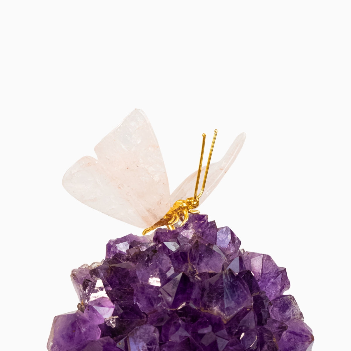 Borboleta Esculpida em Quartzo Rosa na Drusa de Ametista 2,796 kg