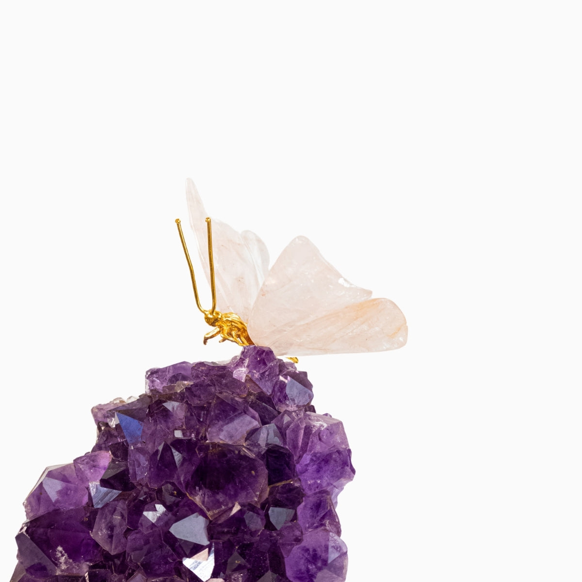 Borboleta Esculpida em Quartzo Rosa na Drusa de Ametista 2,796 kg