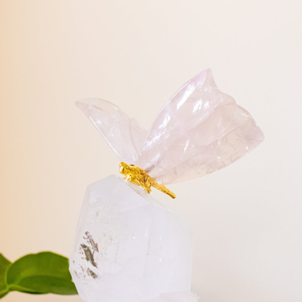 Borboleta Esculpida em Quartzo Rosa na Drusa de Cristal Hialino Extra
