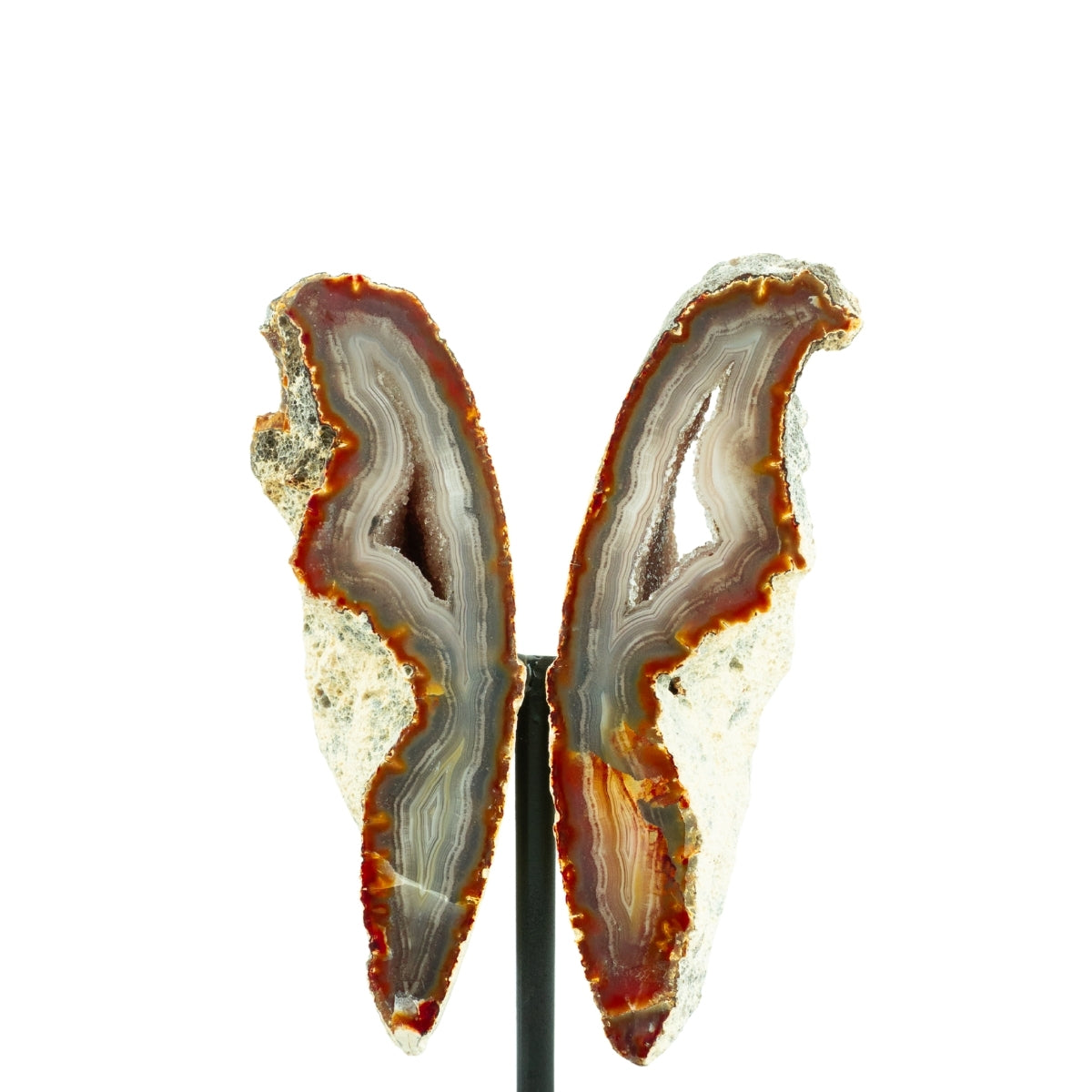 Borboleta de Ágata Cristalizada Natural na Base Metal 876 gramas