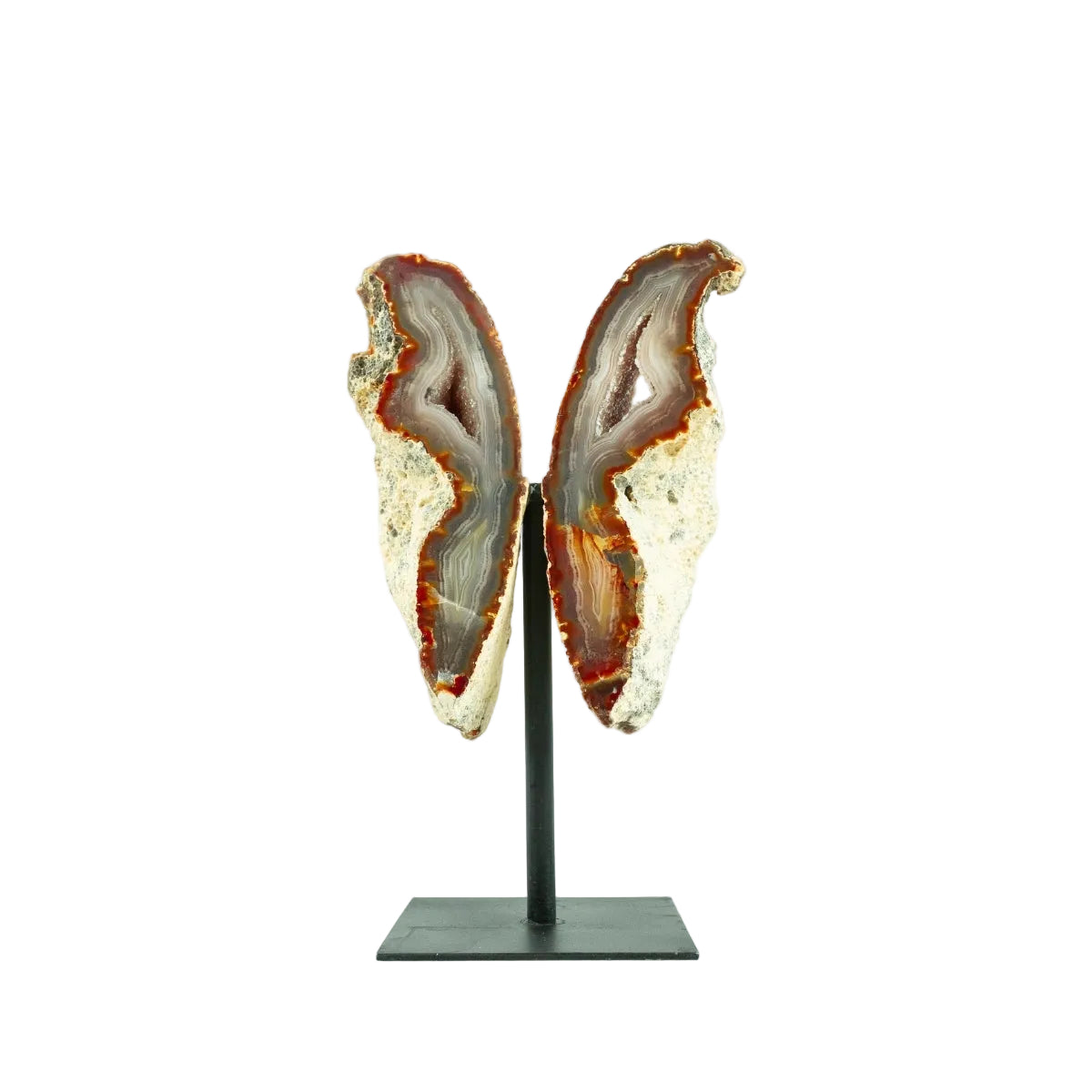 Borboleta de Ágata Cristalizada Natural na Base Metal 876 gramas