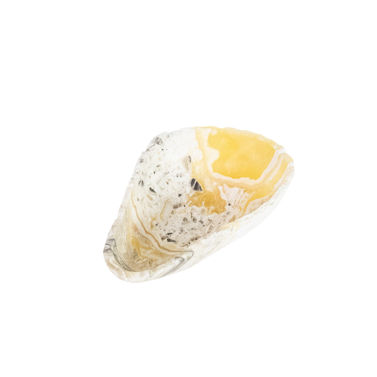 Bowl Onix Zebra Extra