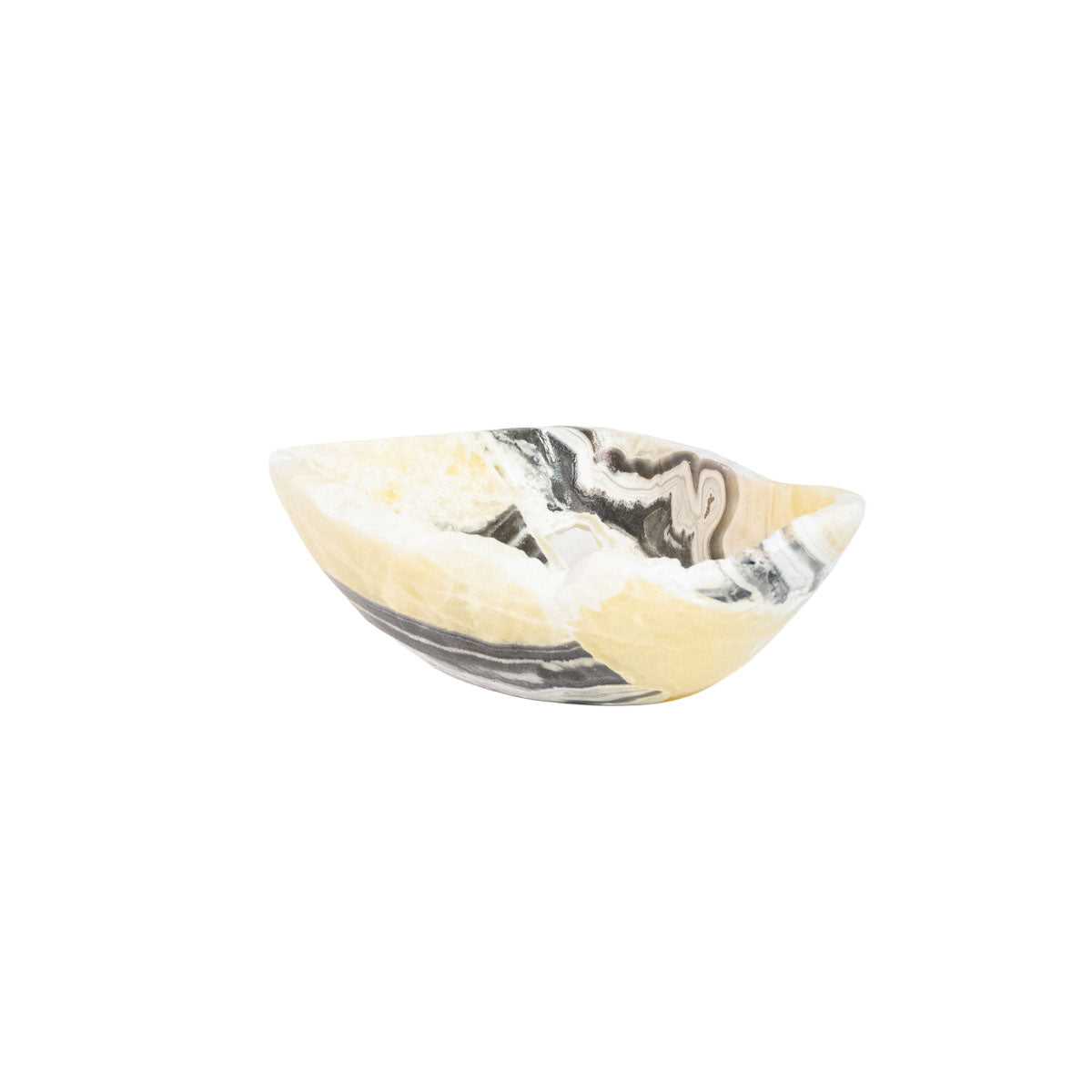 Bowl Onix Zebra Multicolorido  Extra