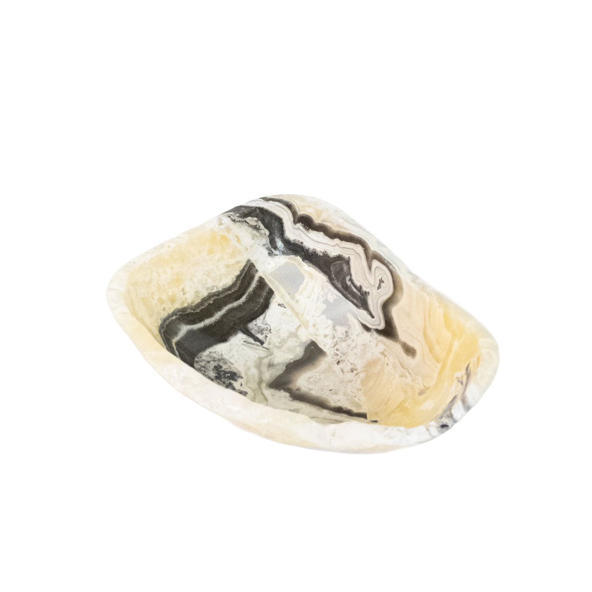 Bowl Onix Zebra Multicolorido  Extra