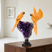 Casal de Araras Esculpido em Calcita Orquídea Laranja na Drusa de Ametista na Base giratória de mármore negro 11,650 kg