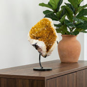 Drusa Citrino na Base Metal Preto 2,629 kg