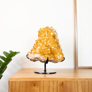 Drusa Citrino na Base Metal Preto 5,130 kg