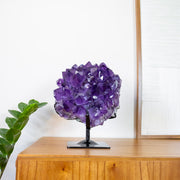 Drusa de Ametista Extra na Base Metal Preto 8,280 kg