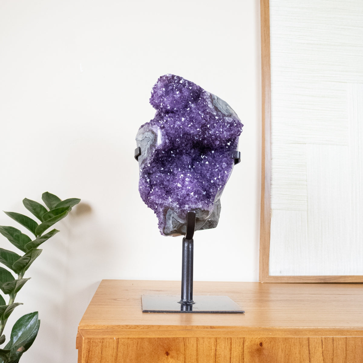 Drusa de Ametista Uruguaia Borda Semi Polida na Base Metal 7,00 kg