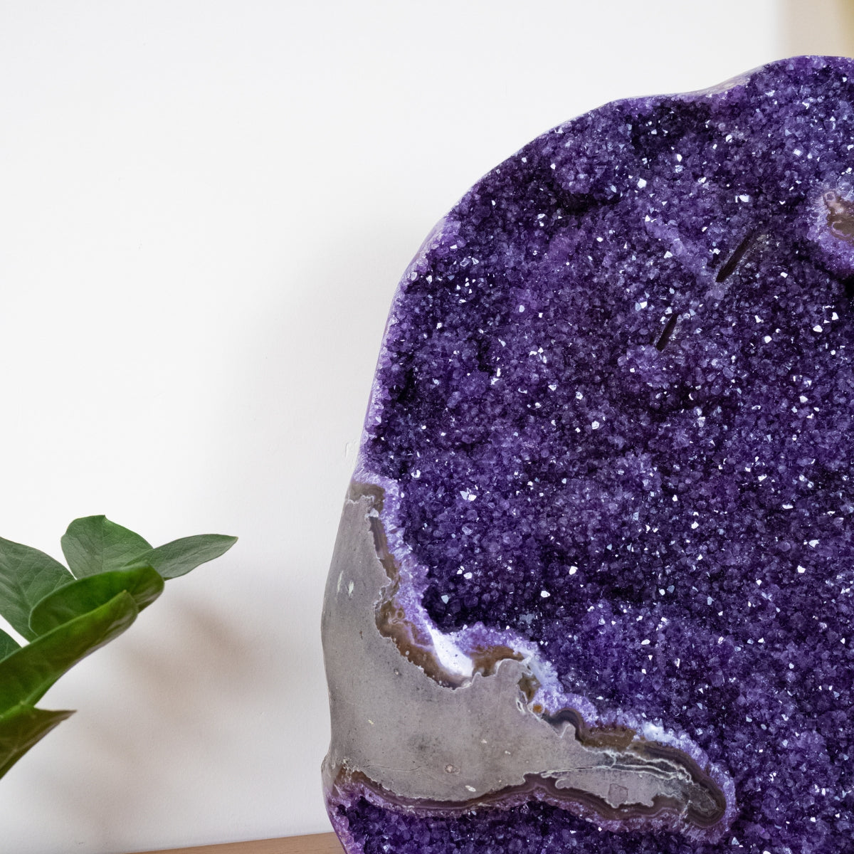 Drusa de Ametista Uruguaia Extra Borda Semi Polida 40,250 kg