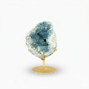 Drusa de Celestita Natural na Base Metal Dourado 5,090 kg