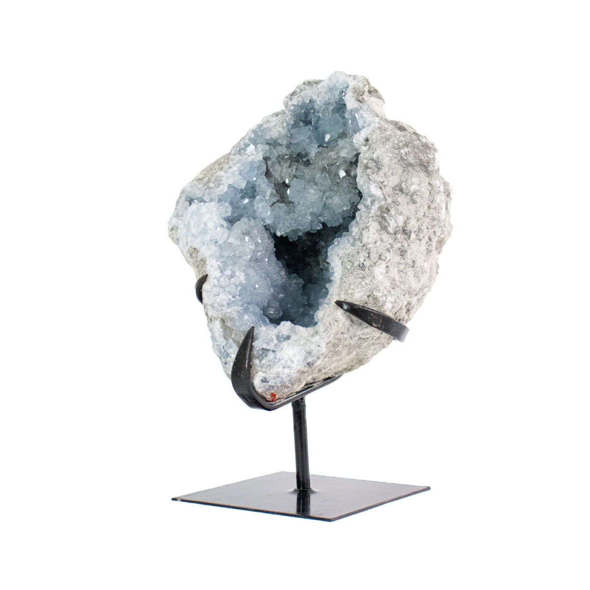 Drusa de Celestita Natural na Base Metal Preto 3,610 kg