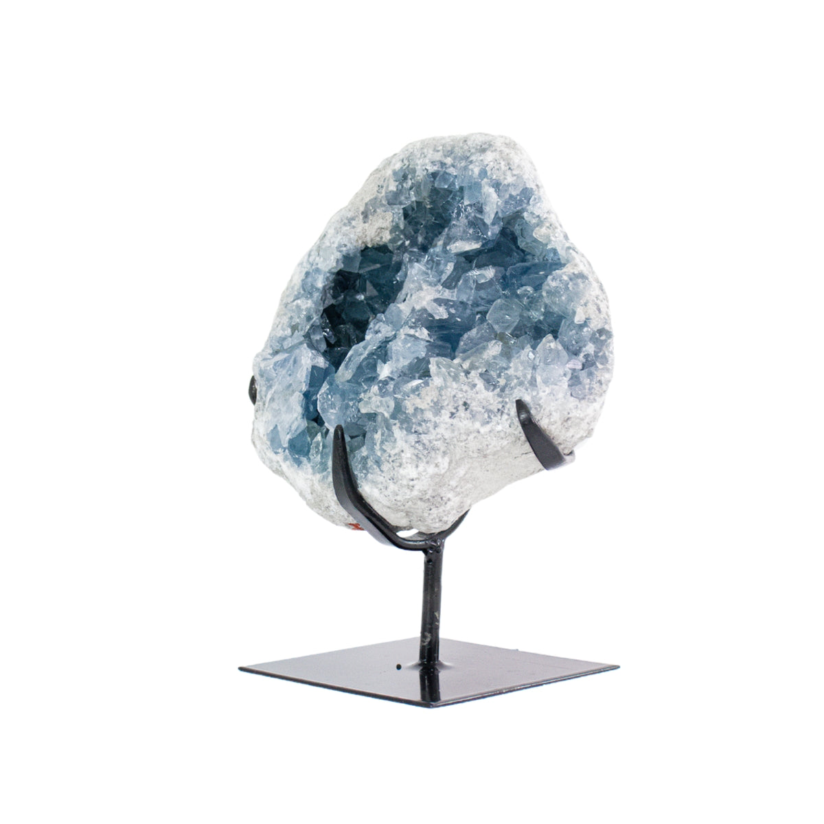 Drusa de Celestita Natural na Base Metal Preto 4,660 kg