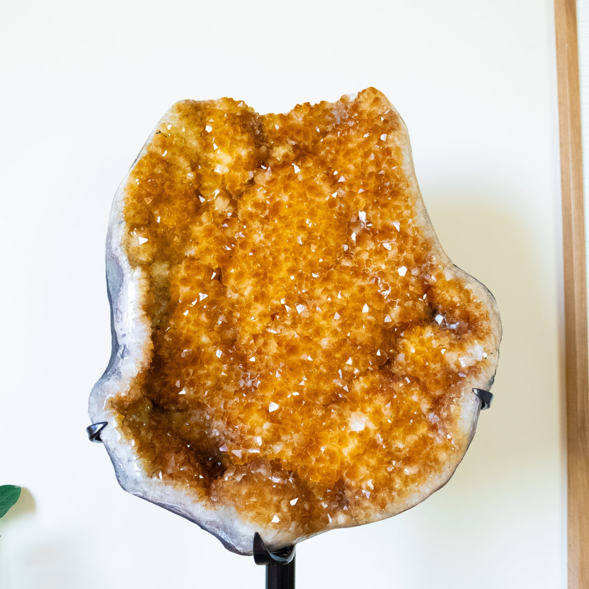 Drusa de Citrino Grande na Base Metal 18,800 kg