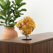 Drusa Citrino na Base Metal Preto 1,493 kg