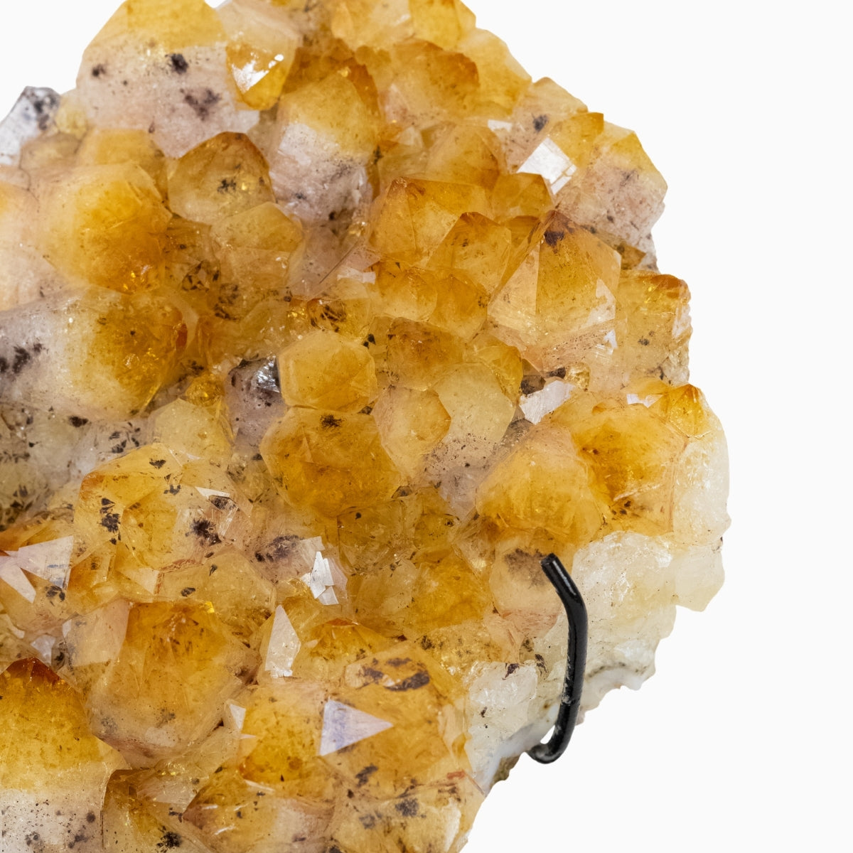 Drusa Citrino na Base Metal Preto 1,493 kg