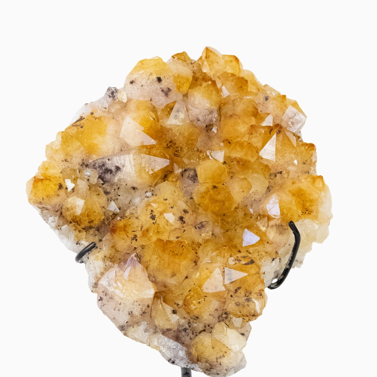 Drusa Citrino na Base Metal Preto 1,493 kg