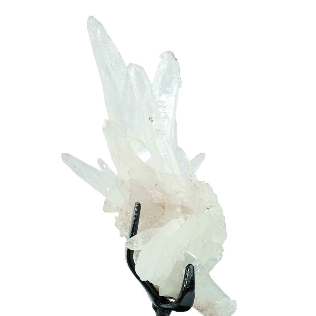 Drusa de Cristal Quartzo Lemuriano Cristalizado Extra na Base Metal Preto 313 gramas