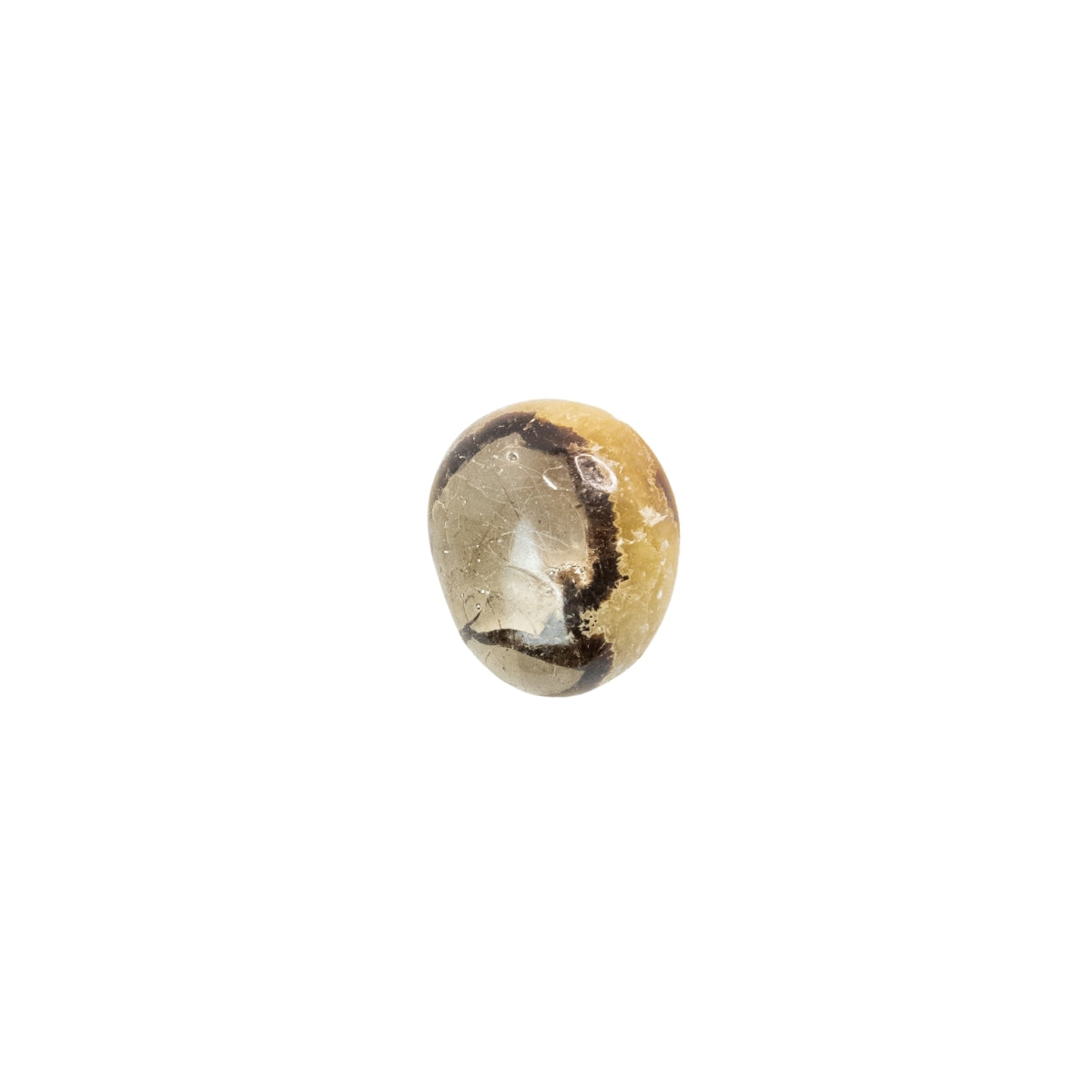 Ovo De Dragão Septariana (Septaria) Polido (Coleção) - (Rara) 59 gramas