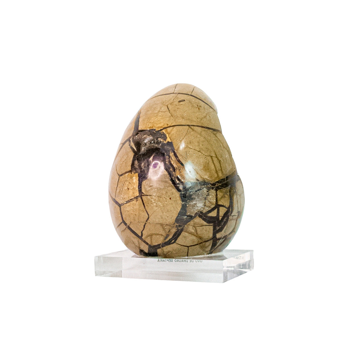 Ovo de Dragão Septariana (Septaria) na Base Acrílica ( Coleção ) 3,280 kg