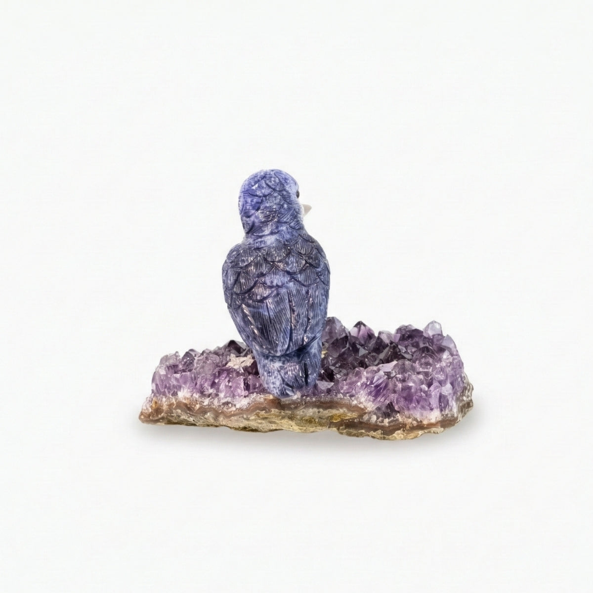 Pássaro Martim-Pescador Esculpido em Sodalita e Calcita Orquídea Laranja na Drusa de Ametista
