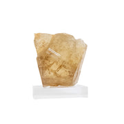 Pedra Citrino Natural Extra Bruto Elestial na Base Acrílica (Coleção) Raro 970 gramas