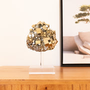 Pedra Pirita Cúbica de Navajun Espanha Base Acrílica 1,700 Kg (coleção)