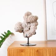 Pedra Rosa do Deserto na Base Metal Preto 5.829 kg