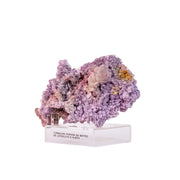 Turmalina Paraíba na Matriz de Lepidolita e Albita na Base Acrílica ( Coleção ) 810 gramas