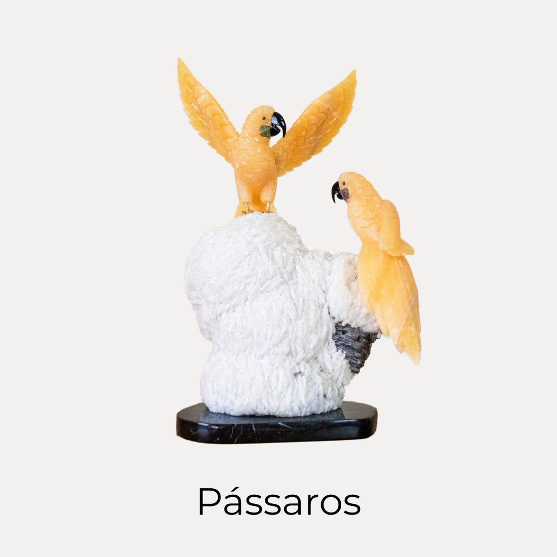 Pássaro em Pedra Natural