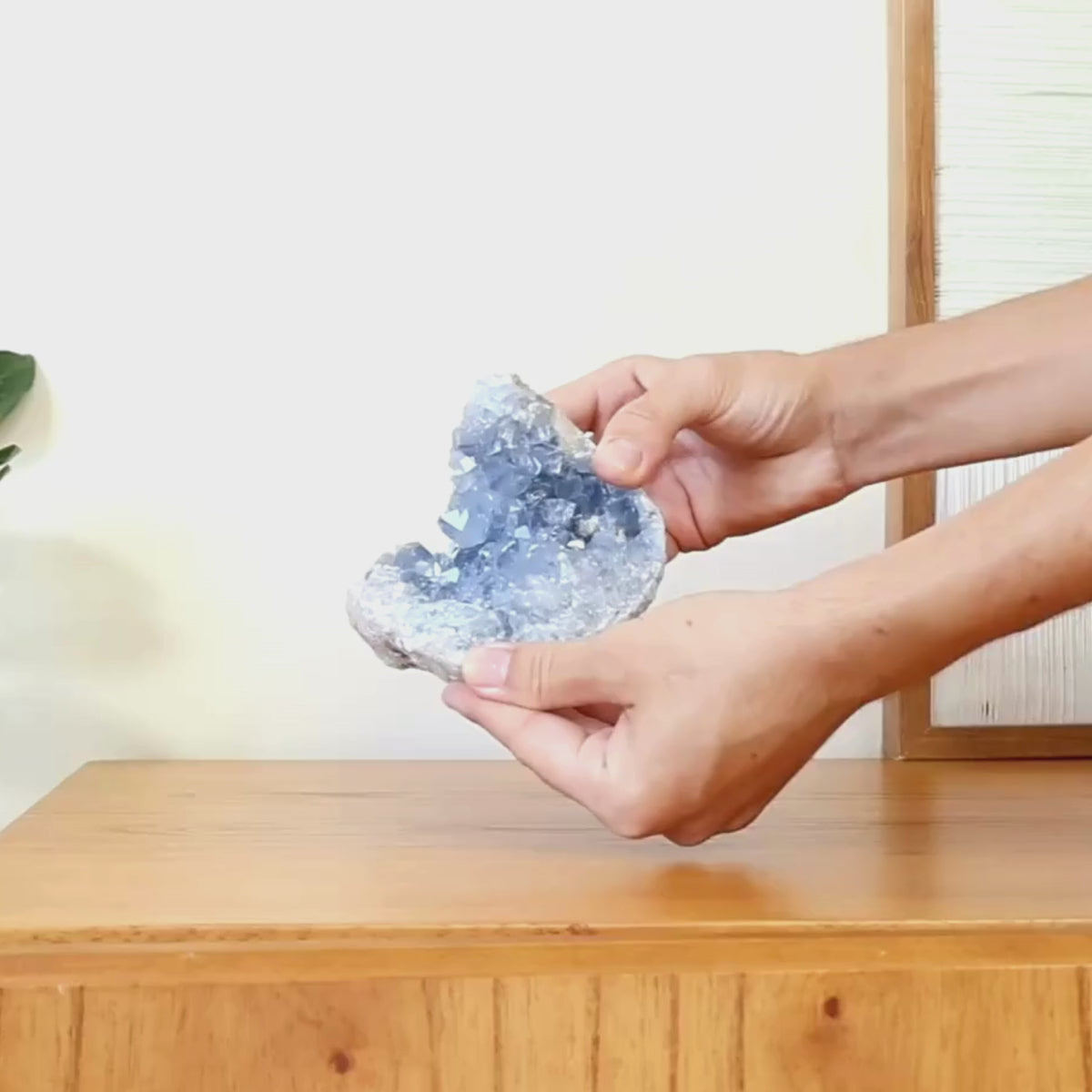 Carregar vídeo: Drusa De Celestita Natural 1,246 kg