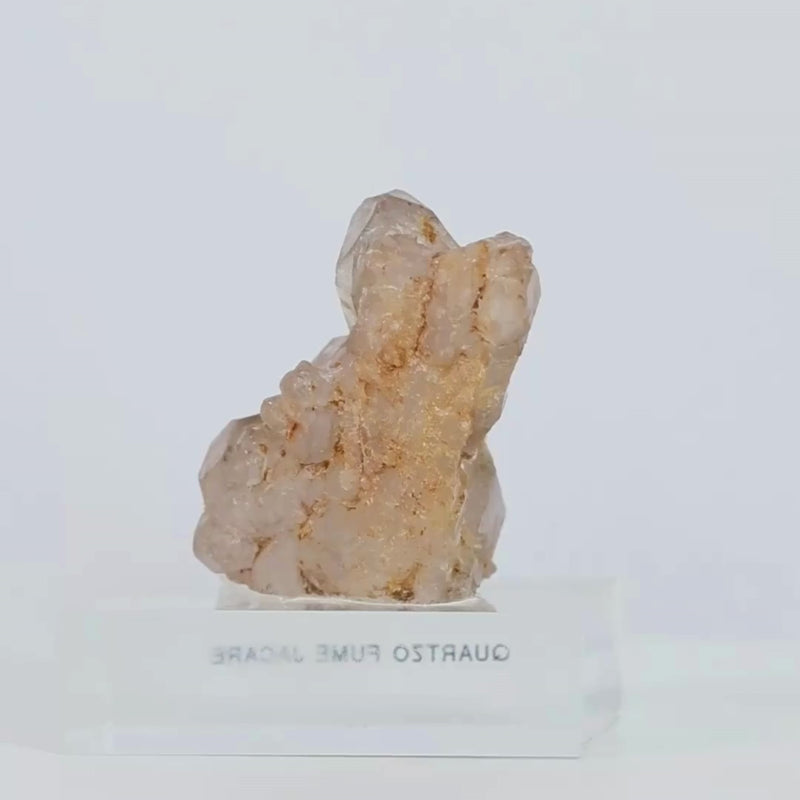 Pedra Quartzo Fumê Elestial Jacaré na Base Acrílica ( Coleção ) 190 gramas