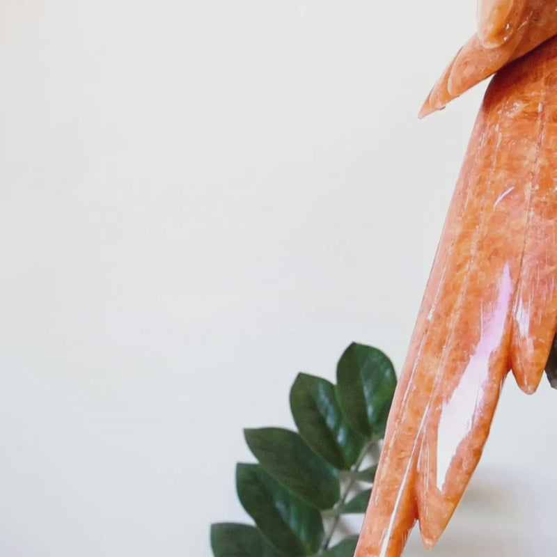 Casal de Araras Esculpido em Calcita Orquídea Laranja na Drusa de Ametista na Base giratória de mármore negro 11,650 kg