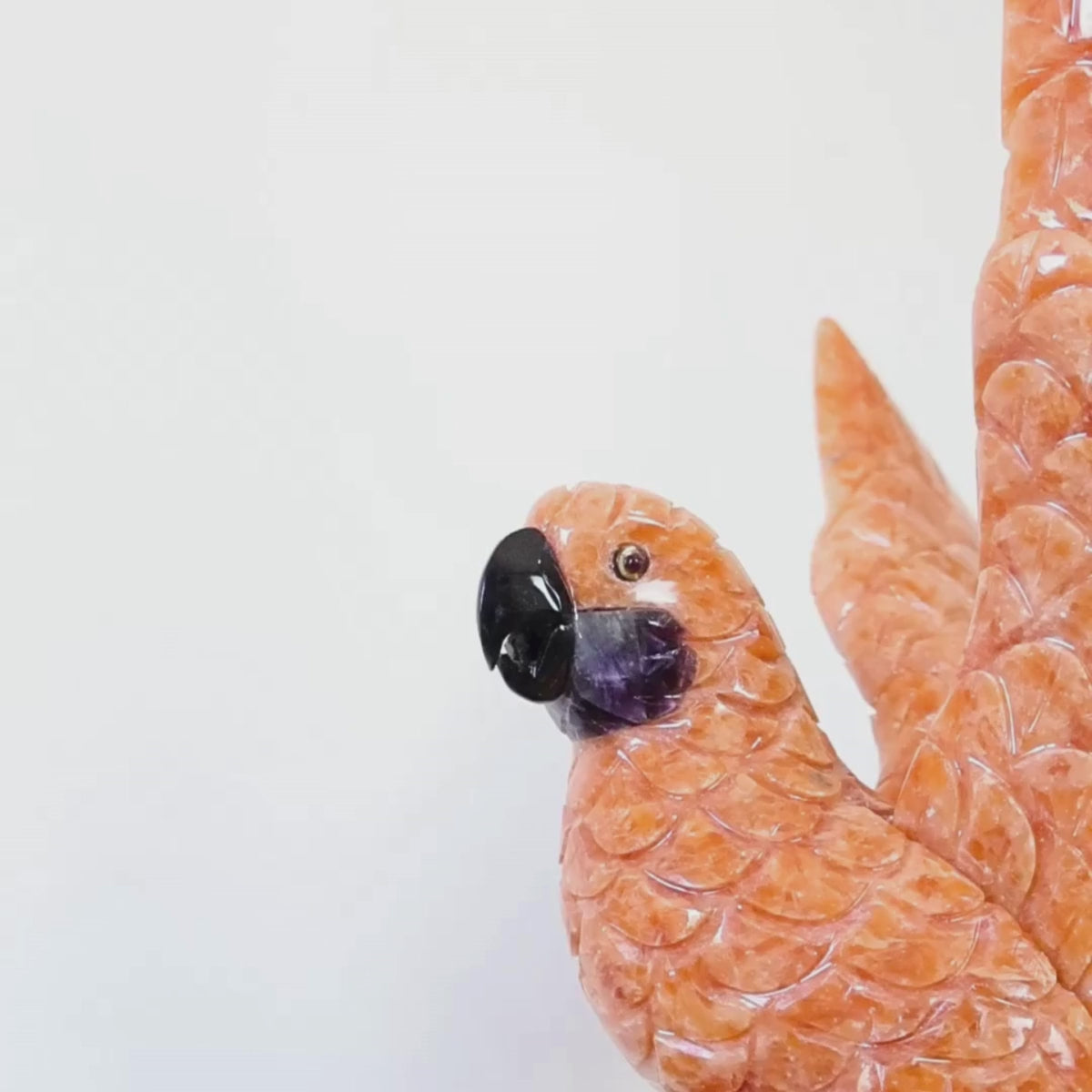 Carregar vídeo: Casal de Araras Esculpido em Calcita Orquídea Laranja na Drusa de Ametista na Base giratória de mármore negro 11,650 kg