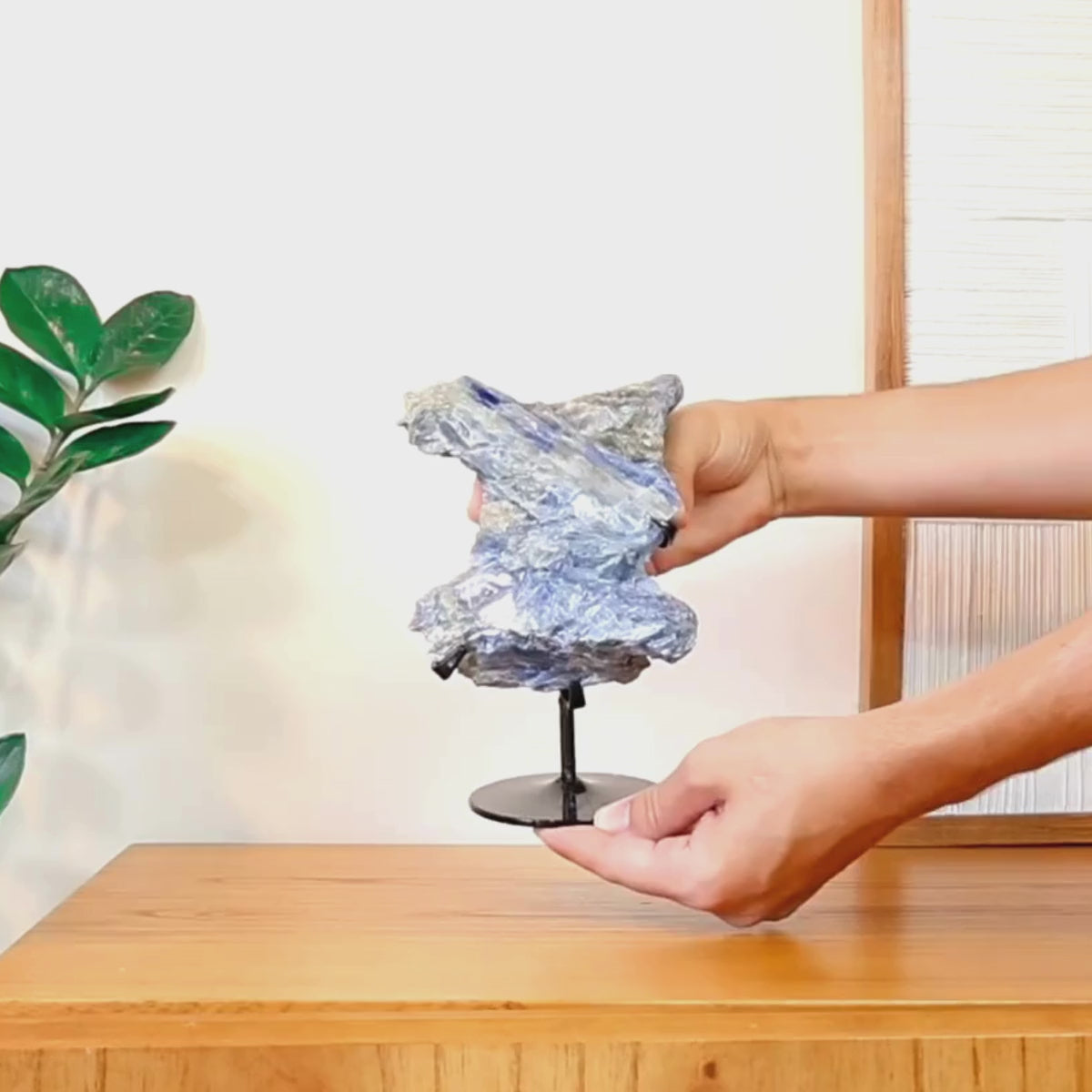 Carregar vídeo: Pedra Cianita Azul Na Base Metal Preto 1,233 kg