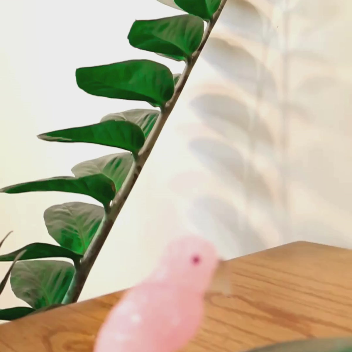 Carregar vídeo: Escultura Papagaio em Quartzo Rosa pousando no Bowl em Fluorita Verde