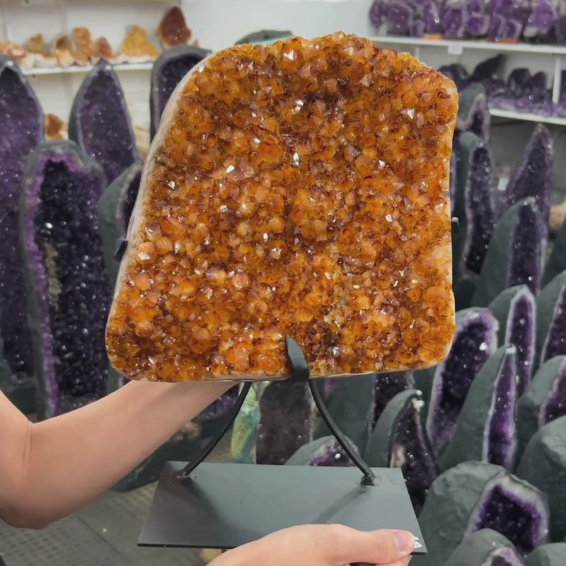 Drusa de Citrino Extra na Base Metal Preto 7,450 kg