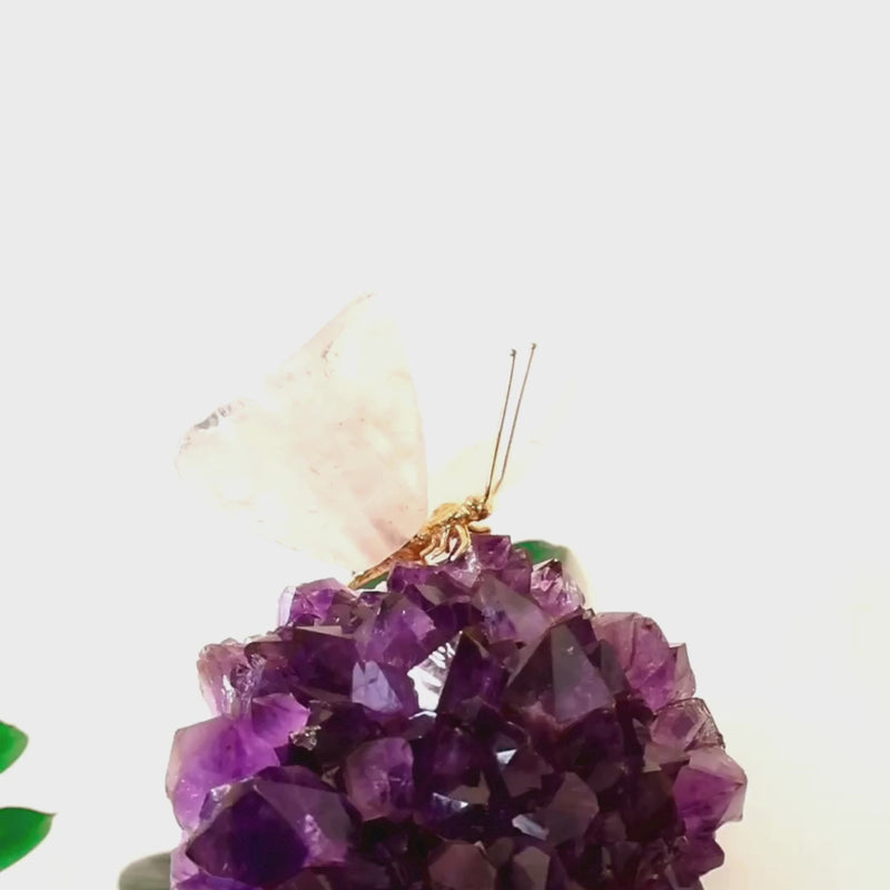 Borboleta Esculpida em Quartzo Rosa na Drusa de Ametista 2,796 kg