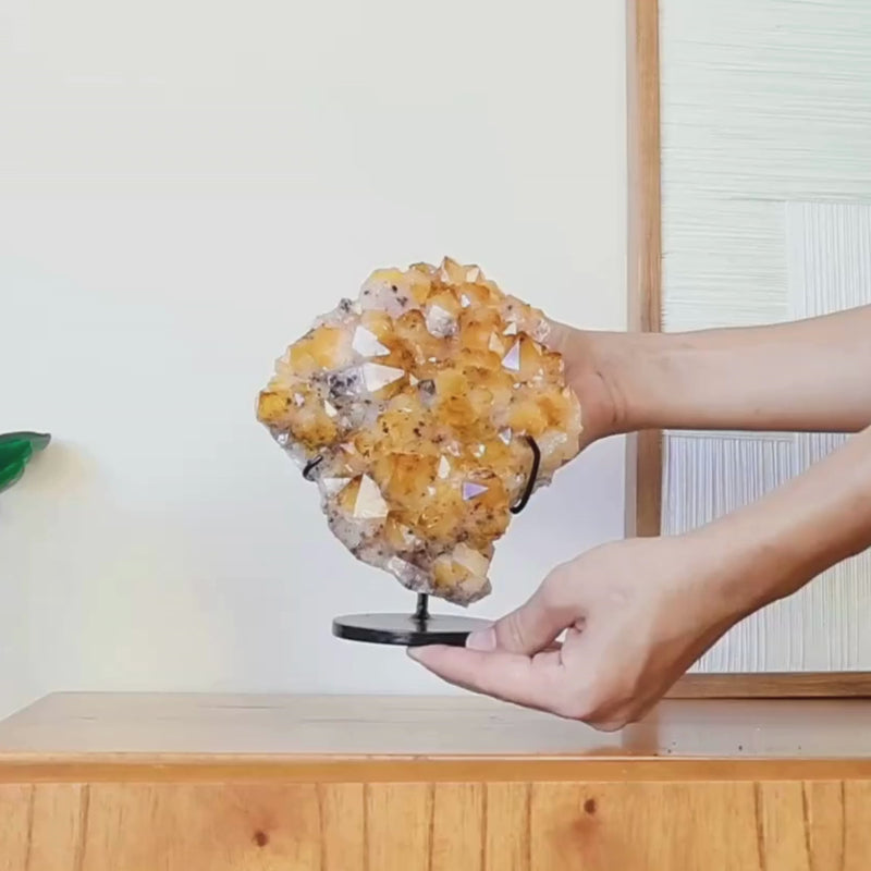 Drusa Citrino na Base Metal Preto 1,493 kg