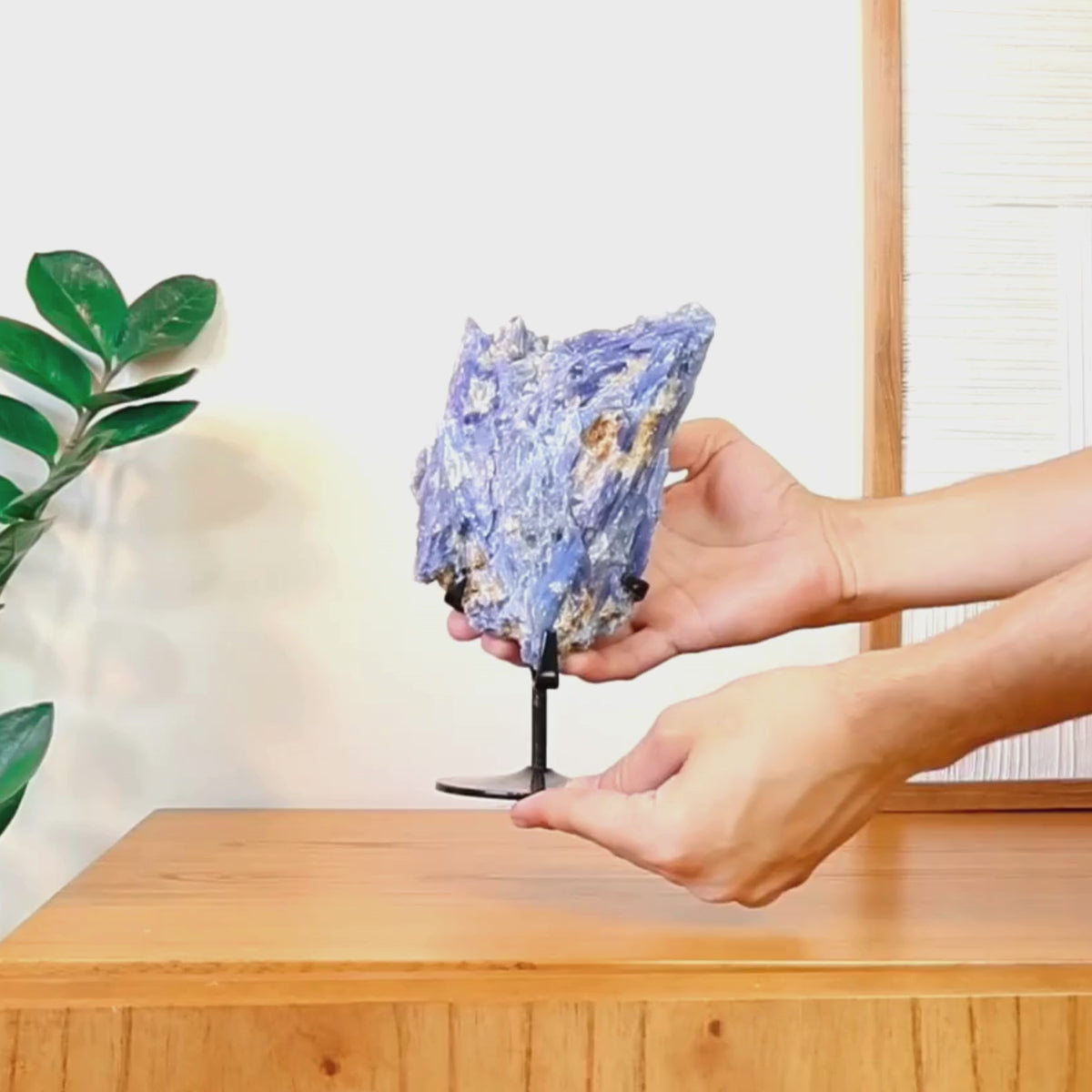Carregar vídeo: Pedra Cianita Azul Na Base Metal Preto 1,207 kg