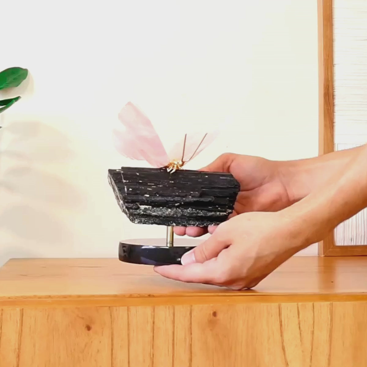 Carregar vídeo: Borboleta Esculpida em Quartzo Rosa na Base de Turmalina Negra 1,923 kg