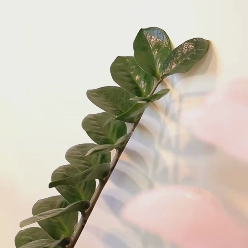 Escultura Beija-flor em Quartzo Rosa Flor Lisiantos em Quartzo Rosa Base em Quartzo Rosa