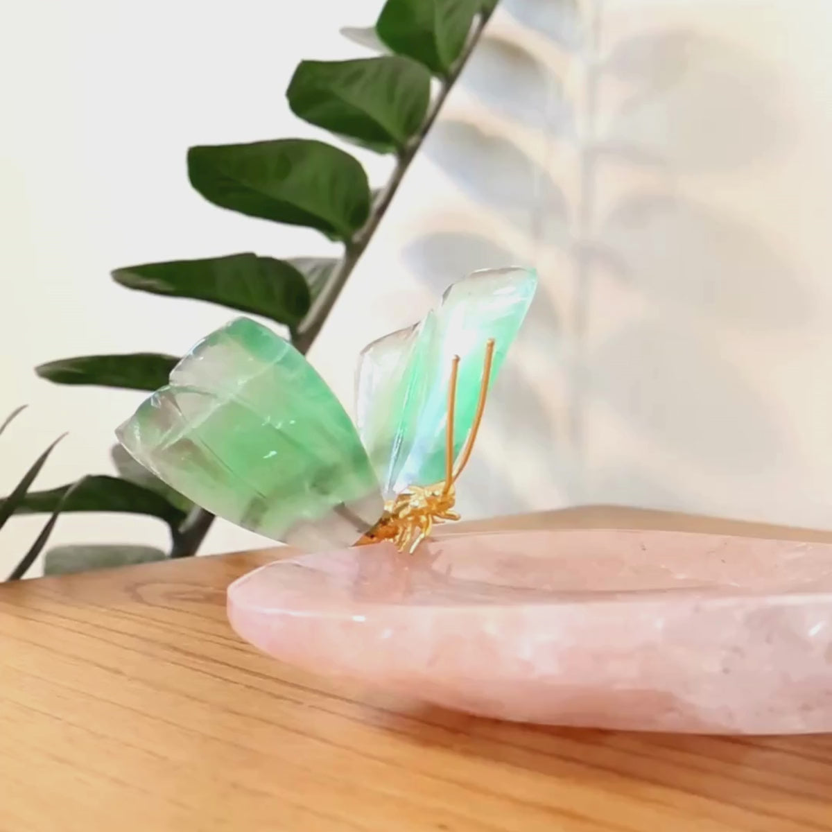 Carregar vídeo: Borboleta Esculpida em Fluorita Verde Sobre Bowl em Quartzo Rosa